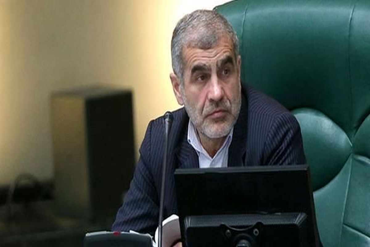 آقای شافعی در قد و قواره ای نیست که بگوید از مجلس پشتیبانی می کند