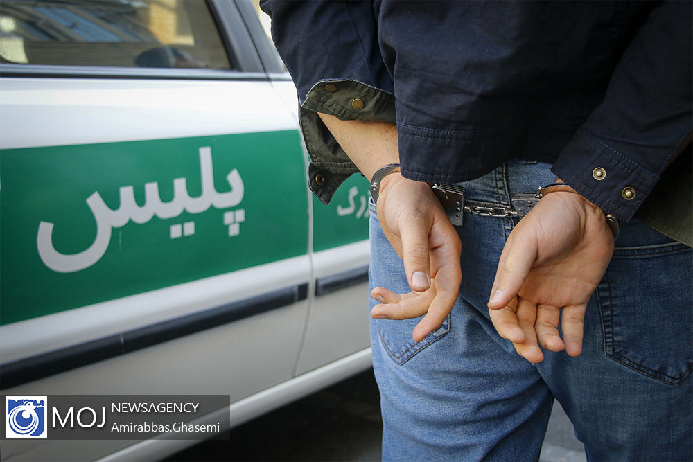افزایش 58 درصدی دستگیری سارقان در تویسرکان