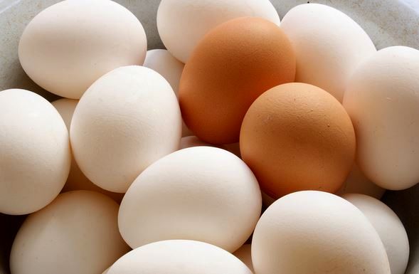 کنترل بازار تخم‌مرغ با انجام واردات