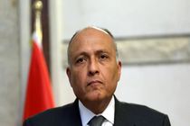 وزیر خارجه مصر وارد بغداد شد