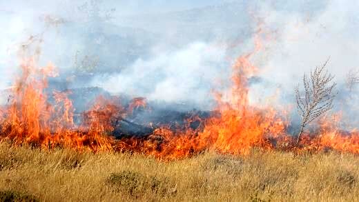 وقوع 2 آتش سوزی در مراتع شهرستان سمیرم و لنجان 