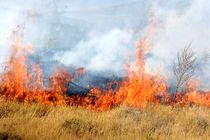 وقوع 2 آتش سوزی در مراتع شهرستان سمیرم و لنجان 