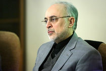 رئیس سازمان انرژی اتمی ایران به سردار سلیمانی تسلیت گفت