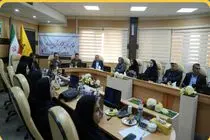 شرکت گاز استان ایلام در ارزیابی ملی کارفرمای سلامت‌ محور مورد ارزیابی کمیته قرار گرفت