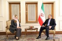 ایران محدودیتی برای توسعه روابط با ایتالیا ندارد