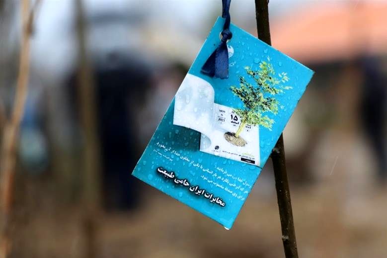 مراسم درختکاری به یاد شهدای شرکت مخابرات ایران با کاشت نهال در جنگل های هیرکانی برگزار شد
