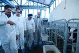 امنیت غذایی ابزار جنگی دشمن و اولویت اصلی کشور است / تأکید بر کاهش وابستگی و خودکفایی