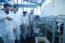 امنیت غذایی ابزار جنگی دشمن و اولویت اصلی کشور است / تأکید بر کاهش وابستگی و خودکفایی