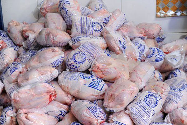 عرضه مرغ منجمد در سطح استان قزوین آغاز شد