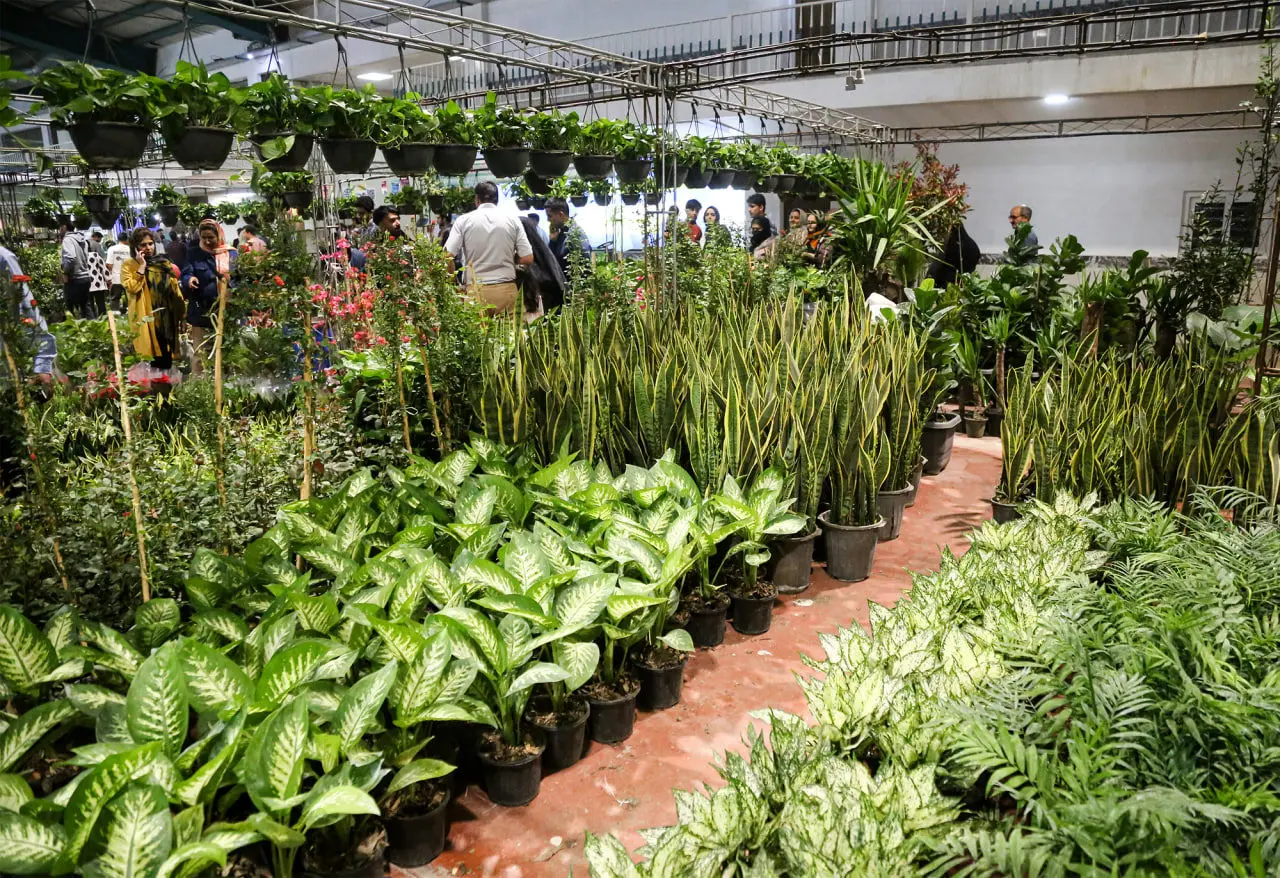 نمایشگاه تخصصی گل و گیاه در شیراز برگزار می شود