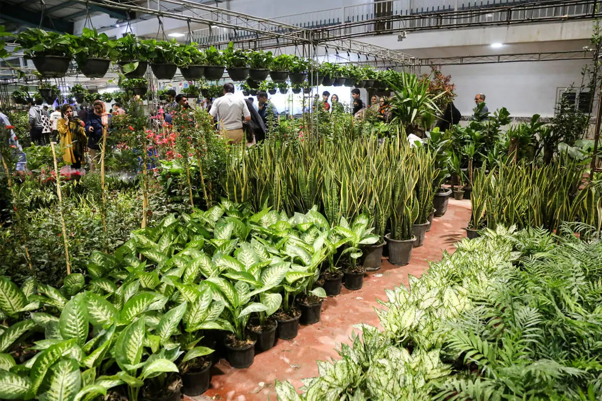 نمایشگاه گل و گیاه 