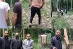 اعتراف قاچاقچیان به قطع ۶۴ اصله درخت در بهشهر