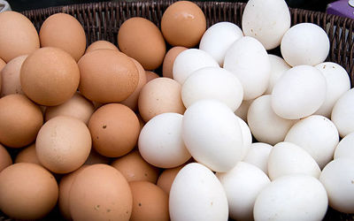 رشد ۲۸ درصدی تولید تخم مرغ در  استان قزوین