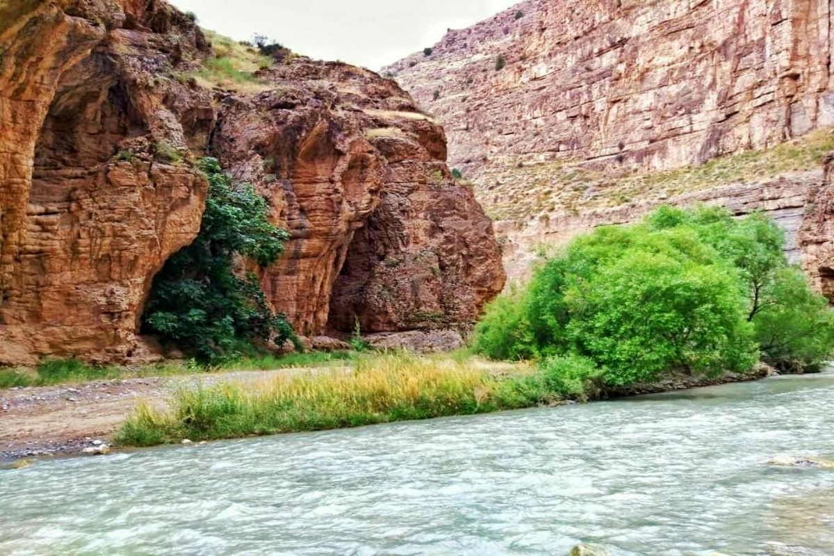 جمعیت پستانداران علفخوار پارک ملی تندوره، رشد ۳۰ درصدی داشته است