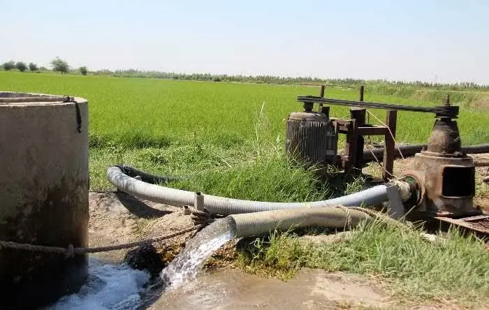 هشدار مدیرعامل آب منطقه‌ای مازندران درباره افت منابع زیرزمینی بر اثر کشت دوم برنج