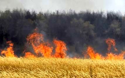 جهاد کشاورزی اردبیل به آتش زدن کاه و کلش مزارع هشدار داد
