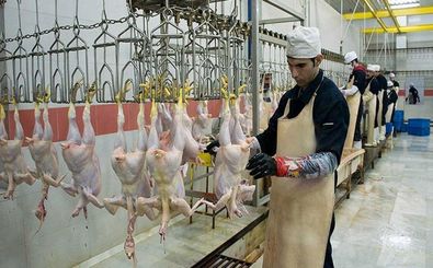 دلایل گران فروشی مرغ در تهران چیست؟