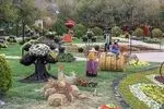 نمایش ۲۵۰ هزار بوته گل پاییزی در جشنواره به رنگ و طعم پاییز در مشهد
