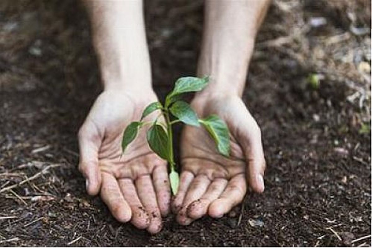 پرداخت ۴۰۵ میلیارد ریال تسهیلات مسکن برای روستاییان/ اعطای ۷ هزار و ۴۰۰ فقره وام اشتغالزایی به ارزش ۸۴۲ میلیاردریال