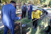 کاشت نمادین نهال توسط توریست دوچرخه‌سوار در بوستان شهید بنیادی قم