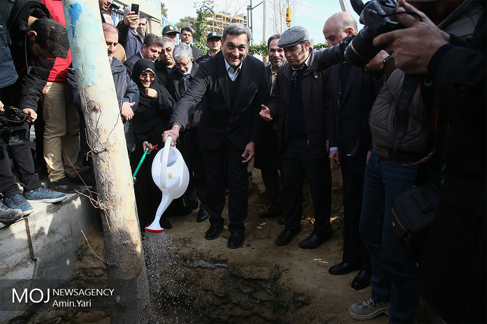 کاشت ۴٠ درخت در چهلمین سالگرد پیروزی انقلاب در خیابان ولیعصر (عج)