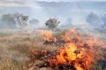 مراتع تهران در خطر آتش سوزی