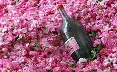 جشنواره اسلامی گل و گلاب در آران و بیدگل برگزار می شود