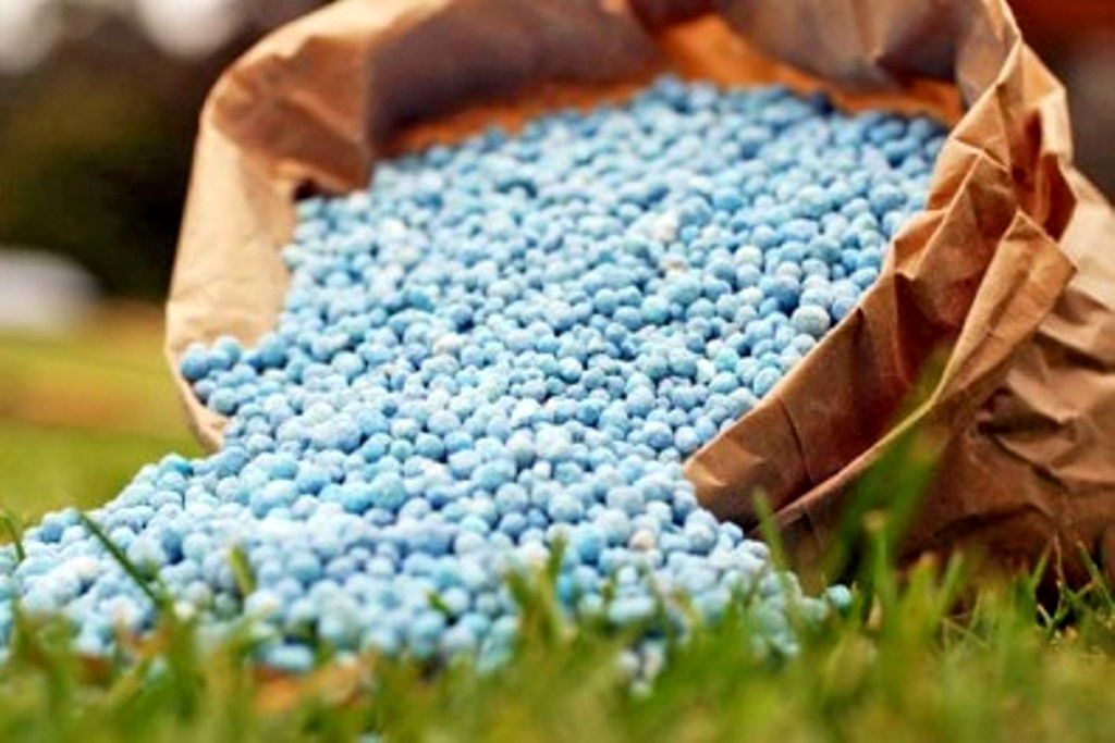 حضور خاوازی در کمیسیون کشاورزی /بررسی چرایی افزایش قیمت کودهای شیمیایی و واردات گندم از قزاقستان
