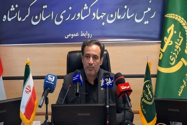 پرداخت ۲۸۰ میلیارد تومان از مصوبات سفر رئیس‌جمهور محقق شد/زعفران، برگ برنده جدید کشاورزان کرمانشاه