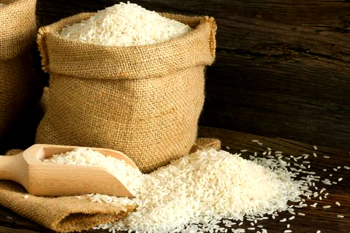 عرضه مستقیم ۱۰۰ تن برنج ایرانی در خراسان رضوی