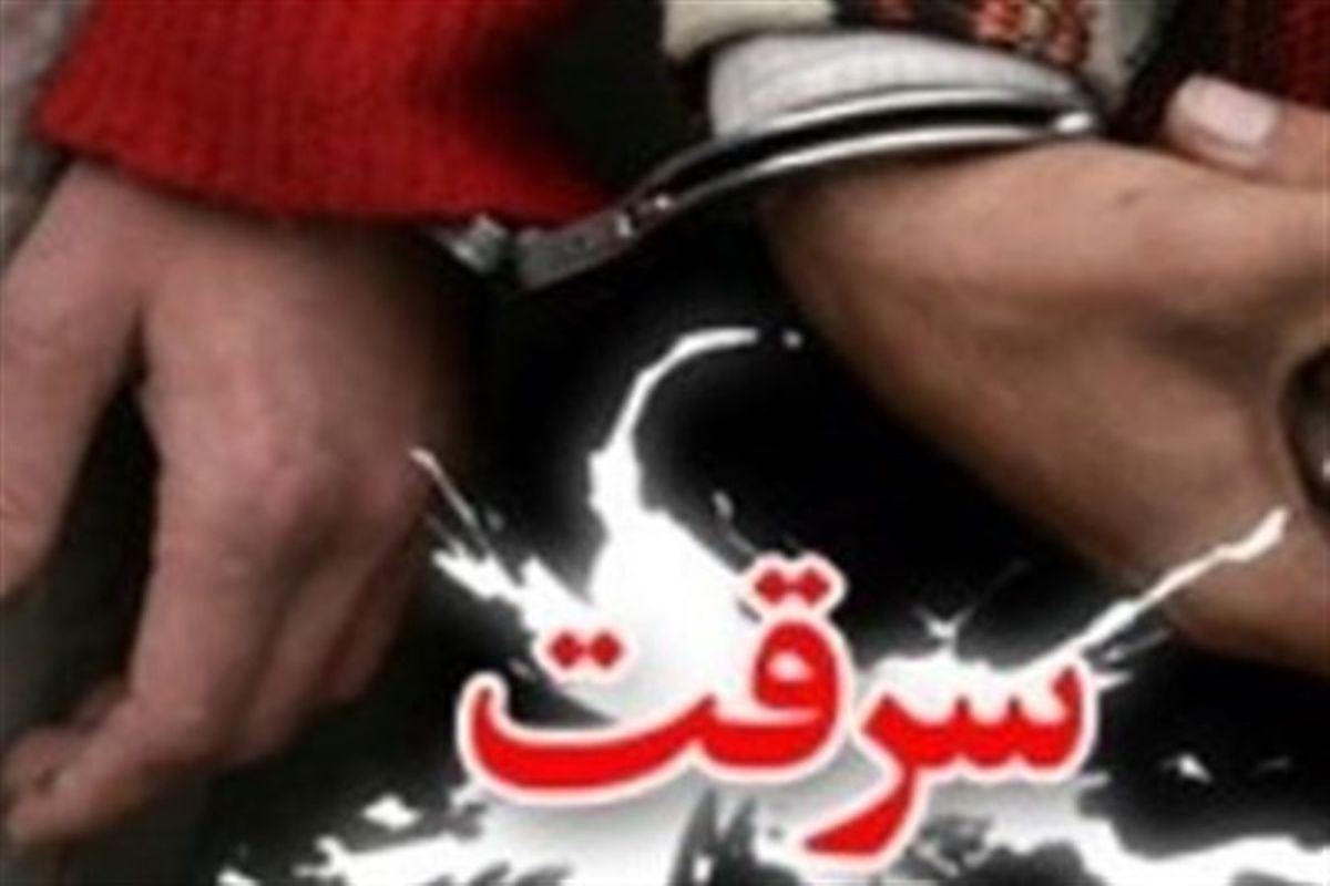 سارق سابقه‌دار در استان گلستان دستگیر شد/اعتراف به ۲۵ فقره سرقت