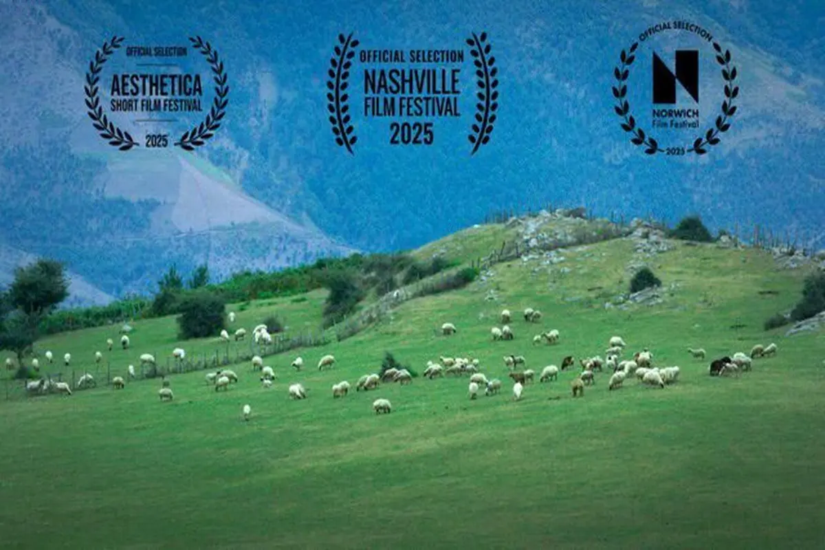 فیلم کوتاه گوسفند
