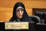  تغییرات لایحه دولت ماهوی نیست؛ همه مواد با رأی سه قوه بررسی شده‌اند