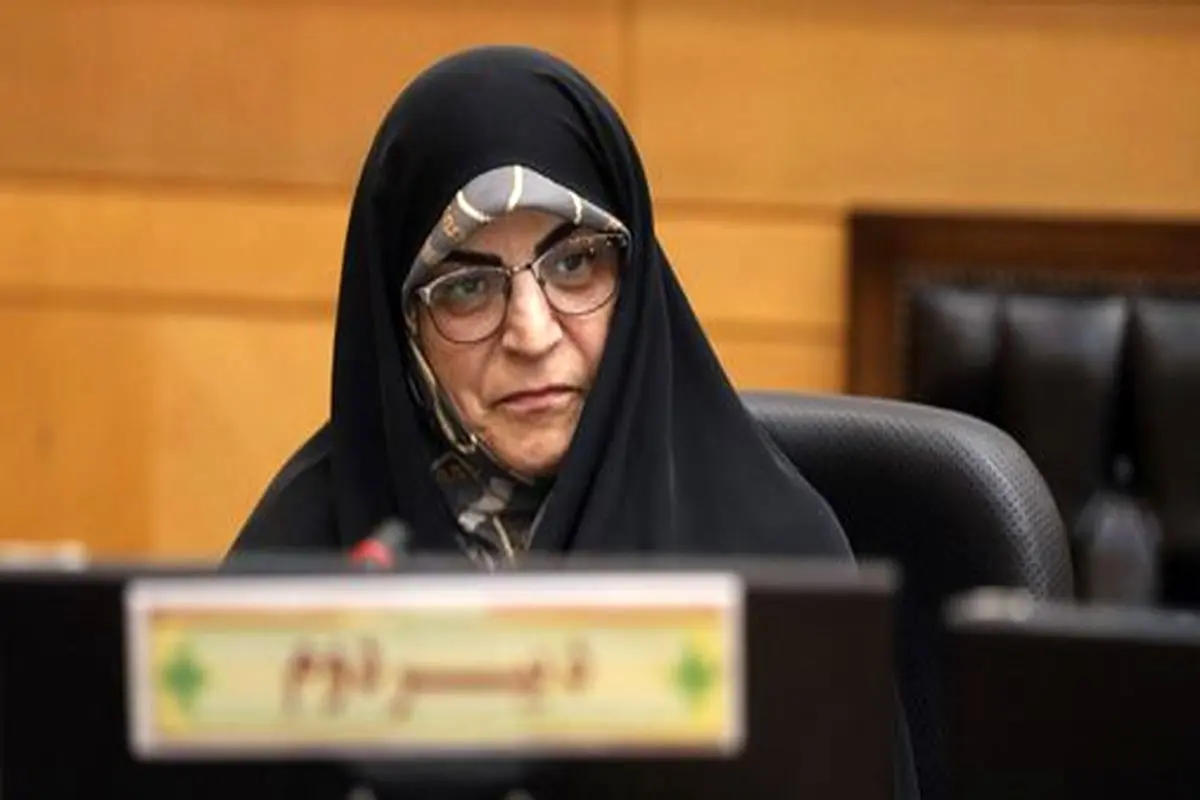 تغییرات لایحه دولت ماهوی نیست؛ همه مواد با رأی سه قوه بررسی شدهاند