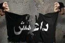 ۷ سرکرده داعش در عراق بازداشت شدند