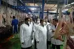 تکمیل زنجیره تولید در کشتارگاه اردبیل هدف‌گذاری شده است/ تولید و بسته‌بندی محصولات صادراتی