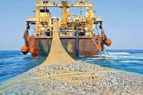 توقف 3 شناور غیرمجاز صید ترال در بندر جاسک 