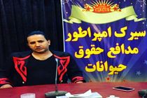 برگزاری نخستین سیرک بدون حیوانات کشور در اصفهان