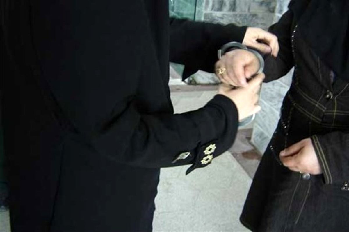 دستگیری زن سارق طلا فروشی در پاساژ ارگ