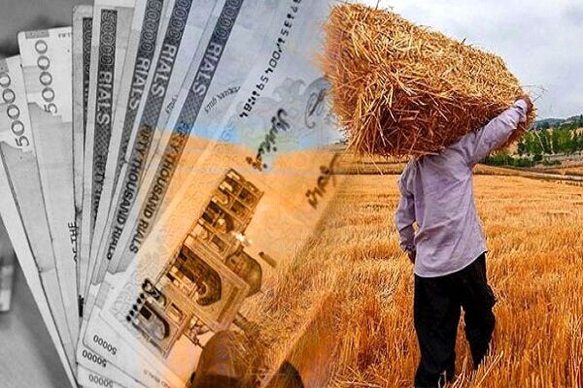 بیشتر از ۹ میلیون و۸۰۰ هزارتن گندم از کشاورز خریداری شد