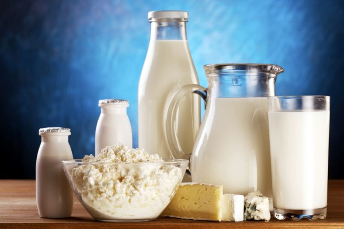 صنایع لبنی شیر را به قیمت واقعی بخرند