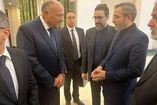 Unprecedented travel of Egypt's FM to Iran