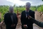 معاون وزیر جهاد کشاورزی پای درددل‌های باغداران مشگین‌شهر نشست