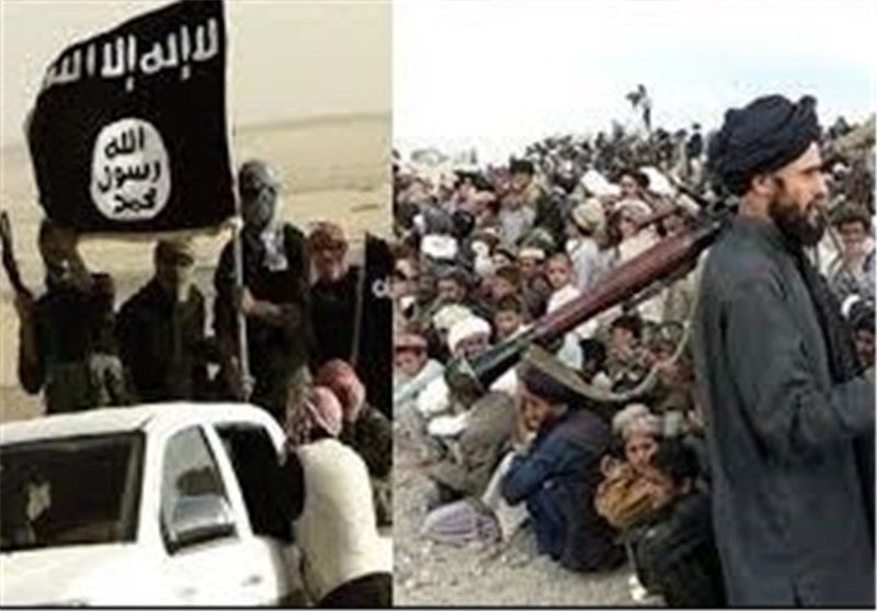 طالبان و پیوند مبارک با داعش