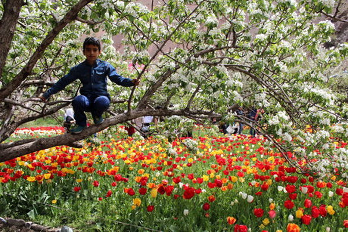 باغ گل‌ها در تبریز احداث می‌شود