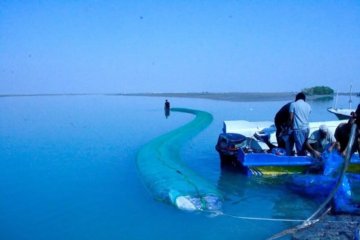 کشف مشک ماری در بندرعباس