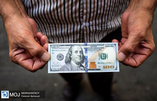  قیمت ارز امروز ۷ اردیبهشت۱۴۰۳ در بازار تهران مشخص شد