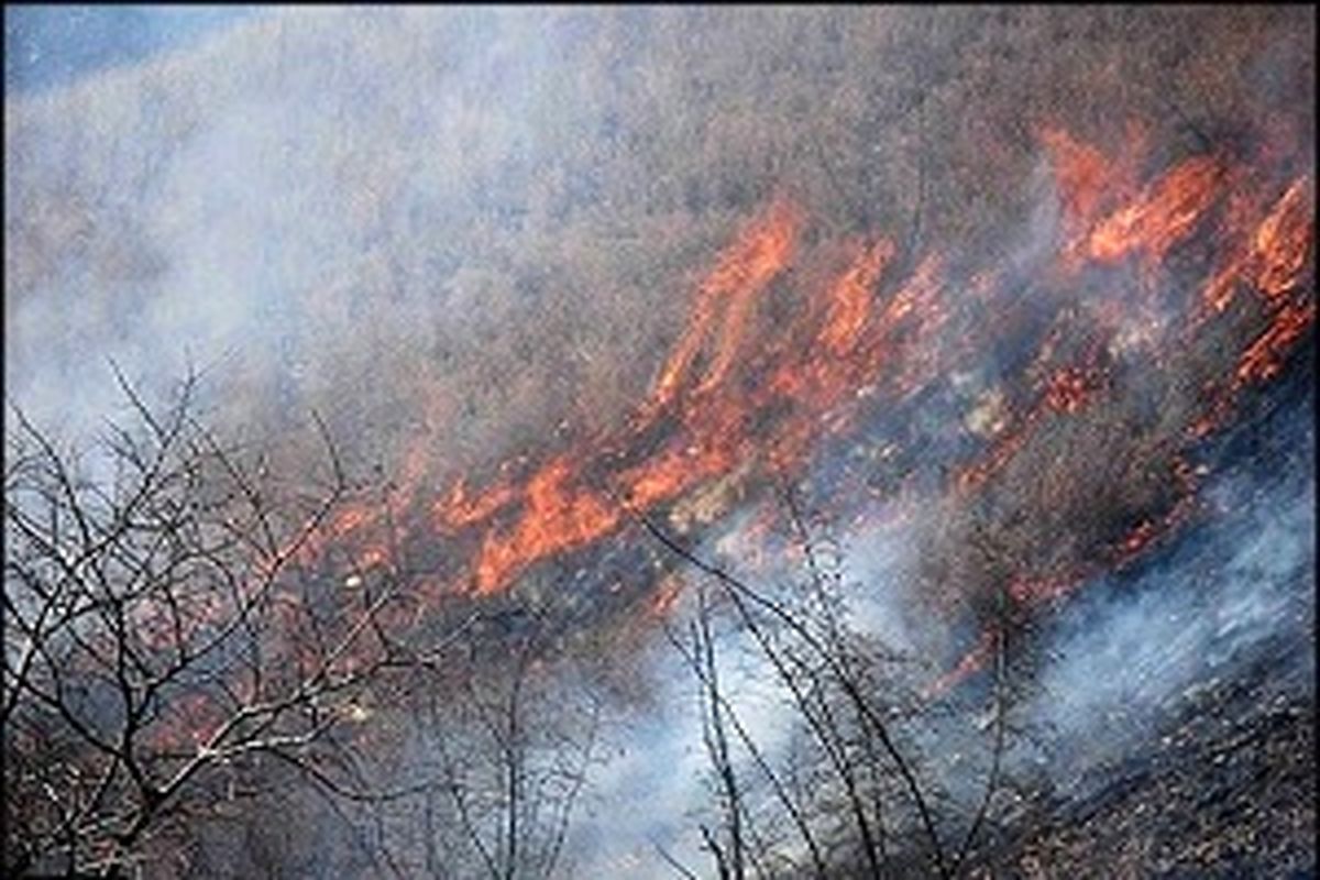 دامنه آتش‌سوزی جنگل‌های پاوه به ارتفاعات جوانرود رسید