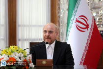 رئیس مجلس شورای اسلامی از حضور مردم در انتخابات قدردانی کرد