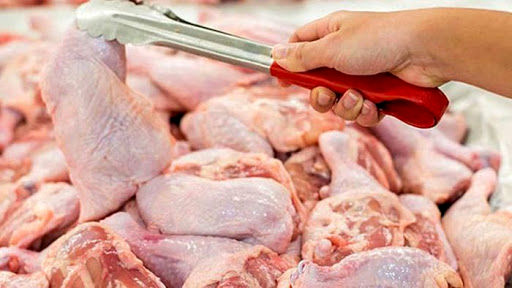تاثیر خرید دولتی گوشت یخ زده در التهاب بازار / میزان تولید مرغ بیش از نیاز بازار است